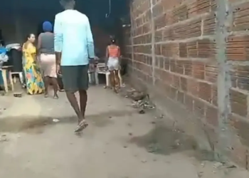 Grávida de 9 meses e criança de 5 anos estão entre vítimas de chacina de ciganos na Bahia