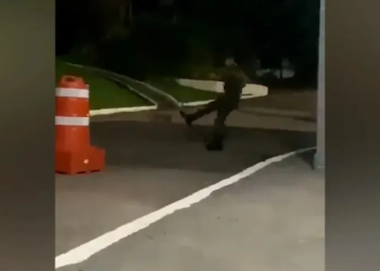 Militar do Exército será investigado após chutar animal no Rio