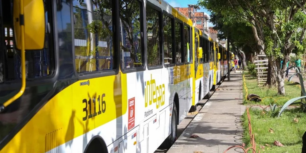 Novas linhas de ônibus são criadas em Salvador; confira
