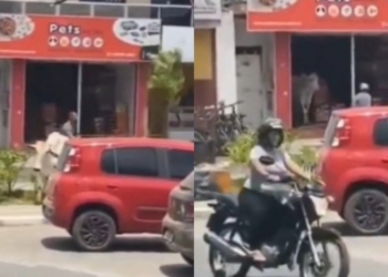 Boi invade petshop e causa correria na cidade de Amargosa
