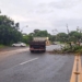 Árvore cai e deixa trecho da Estrada do Derba interditado
