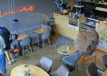 Autor de assalto à lanchonete no Centro Norte baiano é preso; Câmera registrou crime