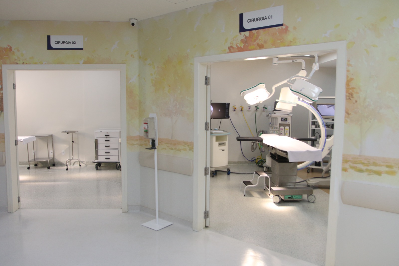 Hospital Roberto Santos inicia mutirão com previsão de 400 cirurgias urológicas