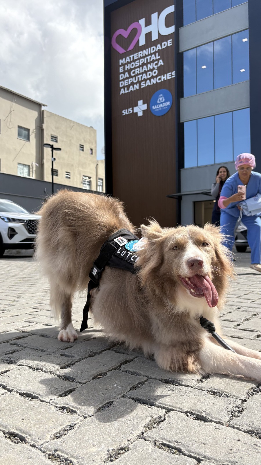 Cão terapeuta Lútche leva acolhimento e humanização à Maternidade e Hospital da Criança Deputado Alan Sanches